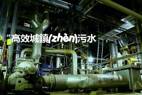 “高效城鎮(zhèn)污水處理流程，守護(hù)碧水藍(lán)天新篇章”